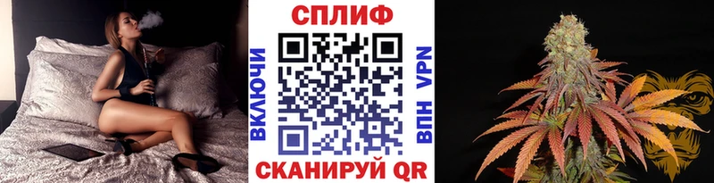 Где продают наркотики Великий Новгород Метадон  Амфетамин  Галлюциногенные грибы  Каннабис  COCAIN  Мефедрон  СОЛЬ 
