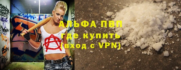 СК Бронницы