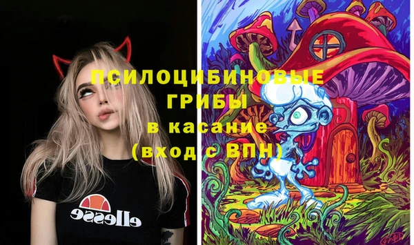 МДПВ Бугульма
