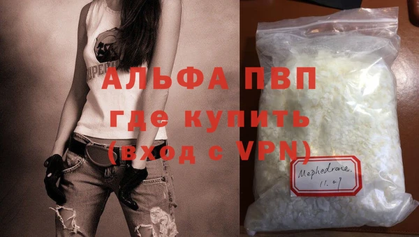 СК Бронницы
