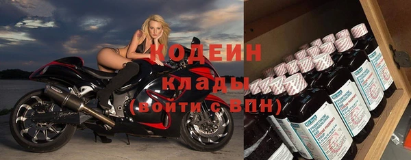 СК Бронницы