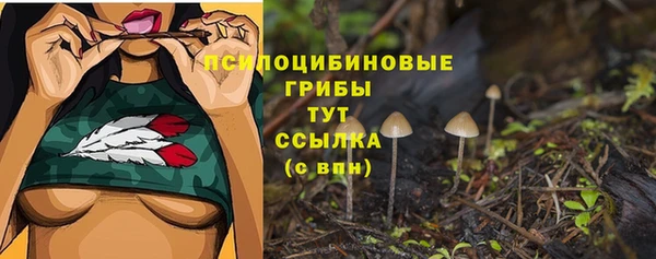 СК Бронницы