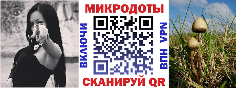Галлюциногенные грибы ЛСД  купить наркоту  kraken сайт  Великий Новгород 